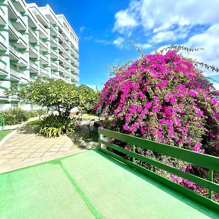 Bonito Apartamento Con Wifi, Cerca De La Playa En Puerto De La Cruz *