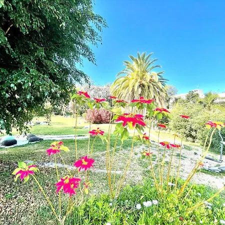 아파트 Bonito Apartamento Con Wifi, Cerca De La Playa En Puerto De La Cruz 푸에르토 드 라 크루즈
