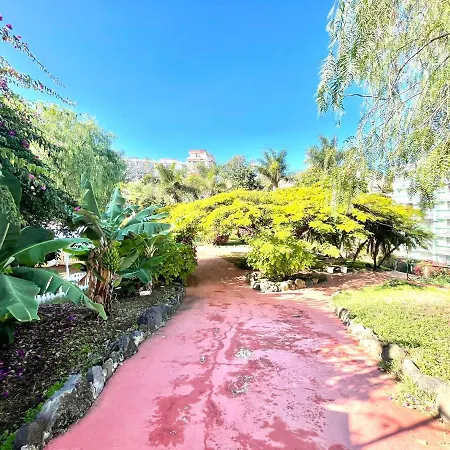 Bonito Apartamento Con Wifi, Cerca De La Playa En Puerto De La Cruz * Puerto de la Cruz (Tenerife)